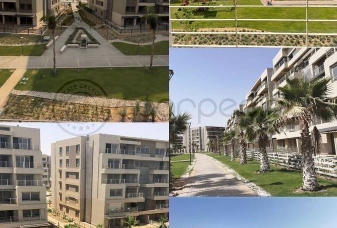 53976285 - Property Image 2