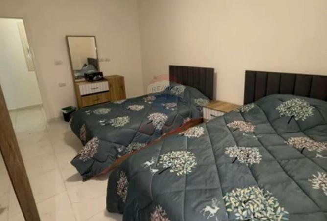 53478617 - Property Image 3