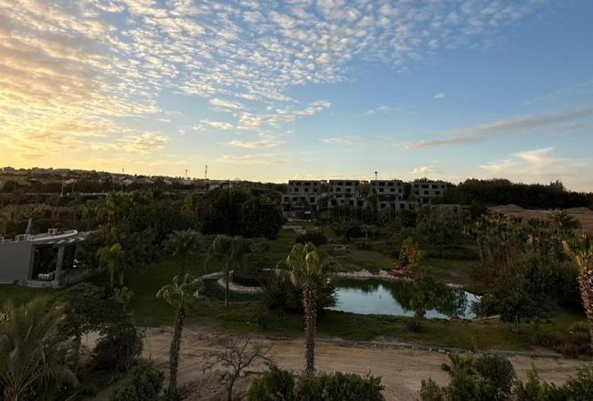 8537585 - الصورة الرئيسية للعقار