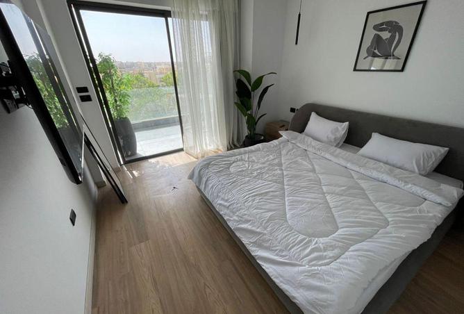 65155511 - Property Image 3