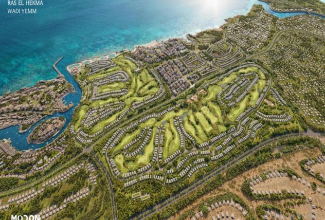 67215087 - Property Main Image