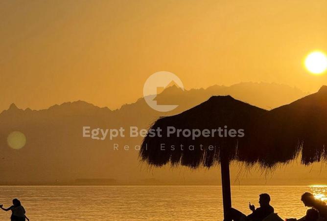 105171651 - صورة العقار 2