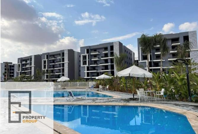 56004059 - Property Image 3