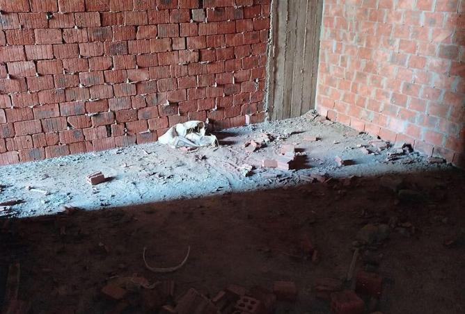 8692980 - صورة العقار 3