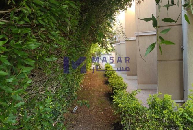 64640707 - صورة العقار 2