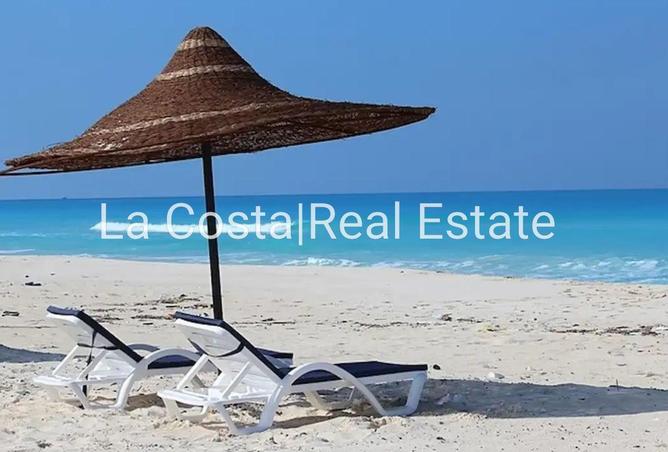 8522209 - Property Image 3