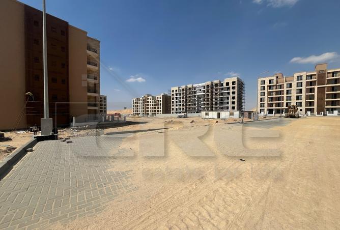 65163740 - Property Image 3