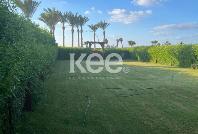 113536599 - Property Image 3