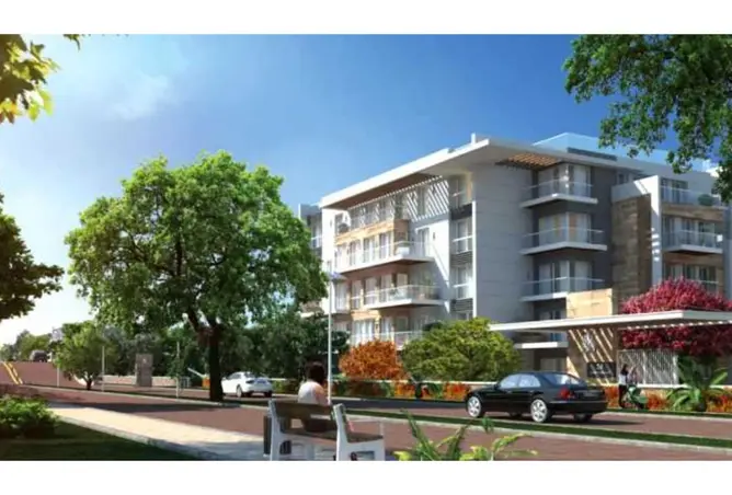 116487041 - Property Image 3