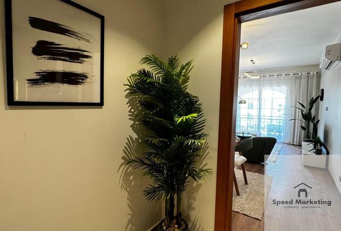 64144797 - Property Image 3