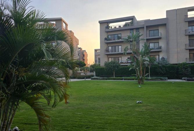 81581970 - صورة العقار 2