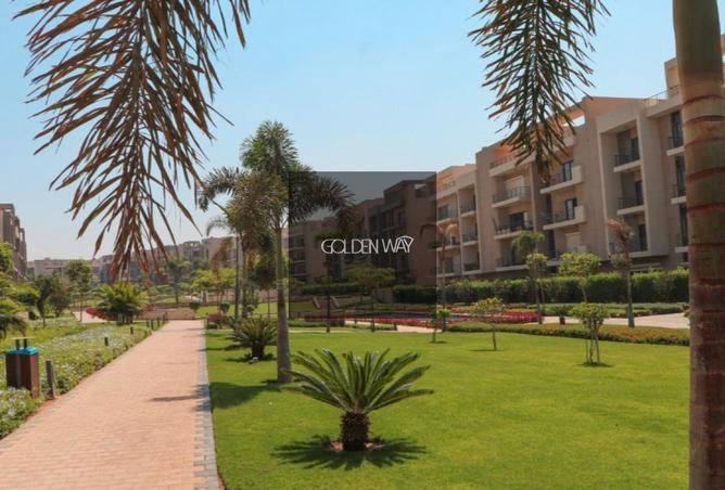 8371819 - Property Image 3