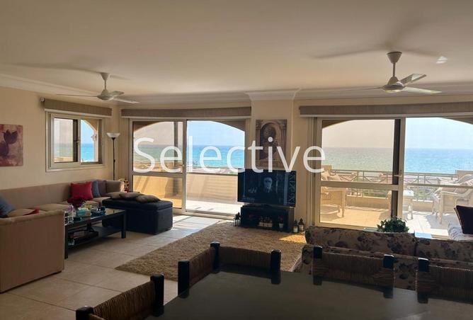 58742389 - Property Image 2