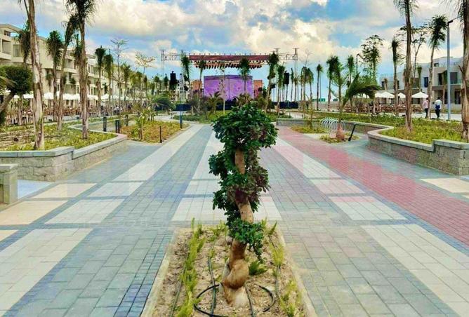 53722170 - Property Image 3