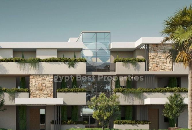 68002596 - Property Image 3