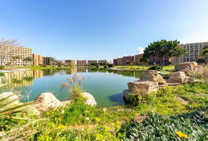81837619 - صورة العقار 3