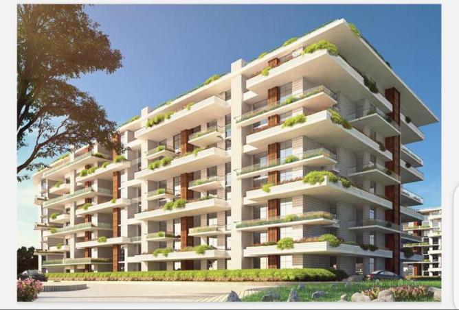 8692637 - صورة العقار 2