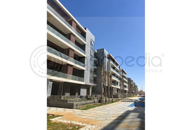 55508610 - Property Image 3