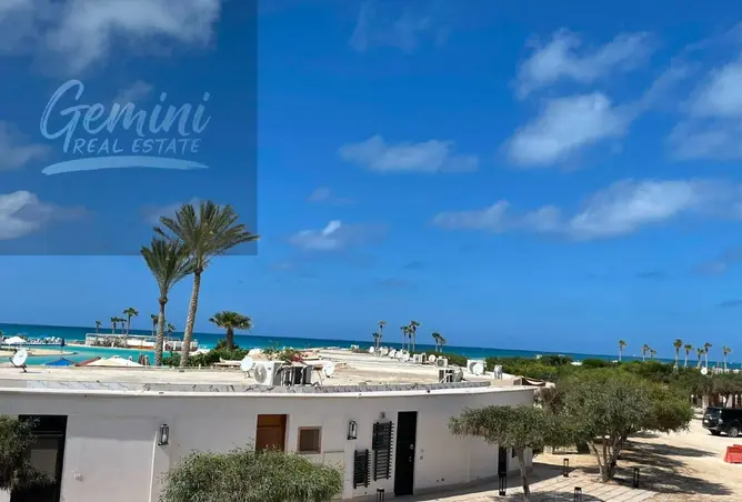 91003961 - صورة العقار 3