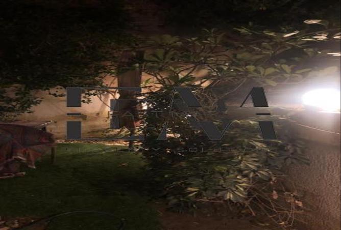 65160426 - صورة العقار 3