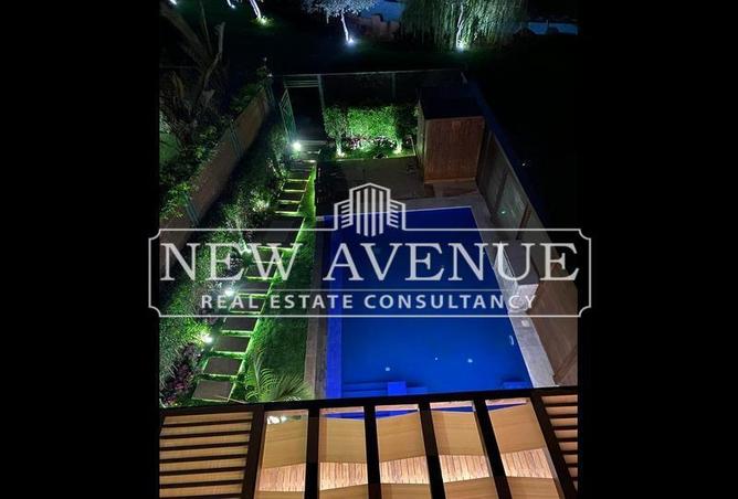 56500275 - Property Image 3