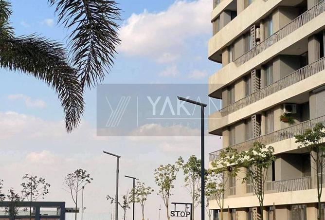 63395443 - Property Image 3