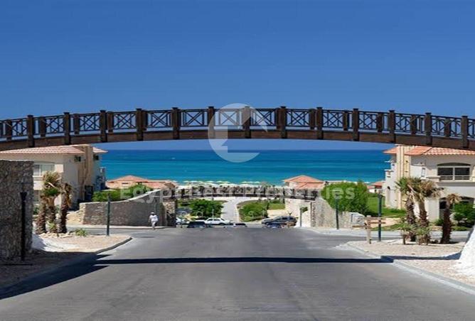 98010593 - صورة العقار 3