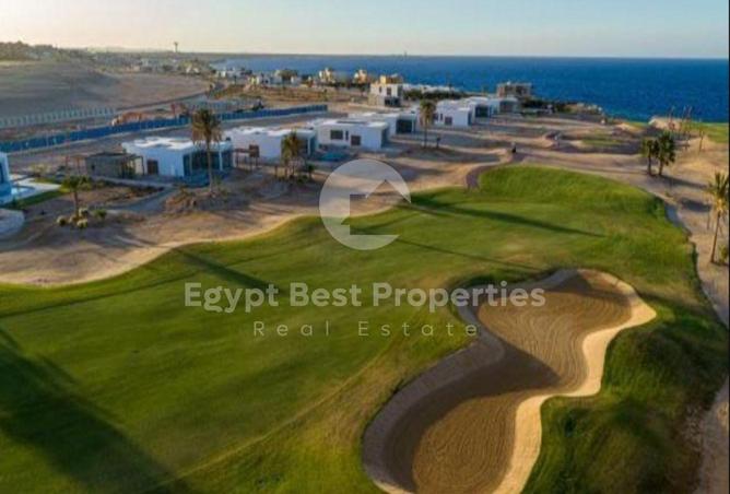 66436853 - Property Image 2