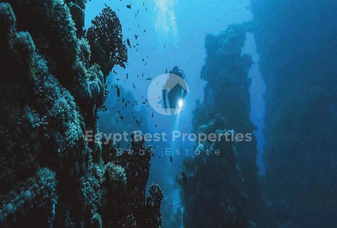 8699290 - صورة العقار 3