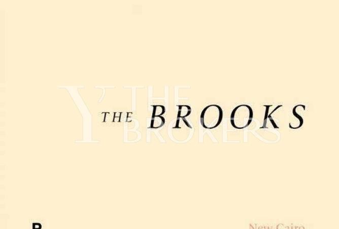 56991647 - Property Image 3