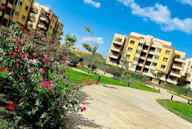 112428693 - Property Image 3