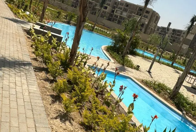 116497907 - Property Image 3