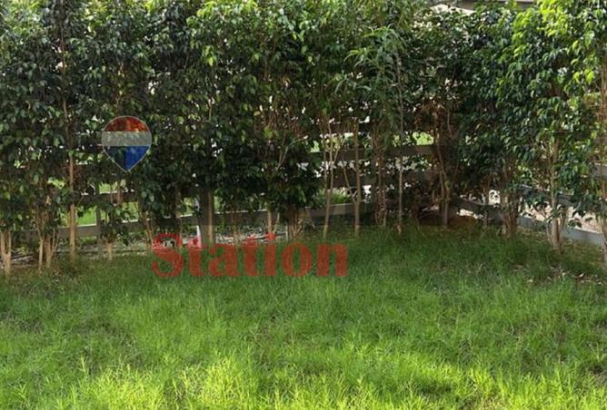 104875492 - Property Image 2