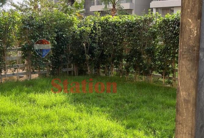 104875492 - Property Image 3