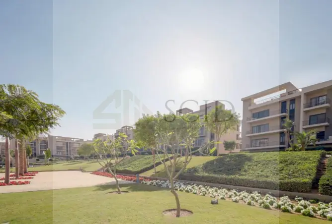 116754377 - Property Image 3