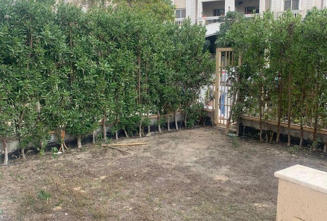 66959586 - Property Image 3