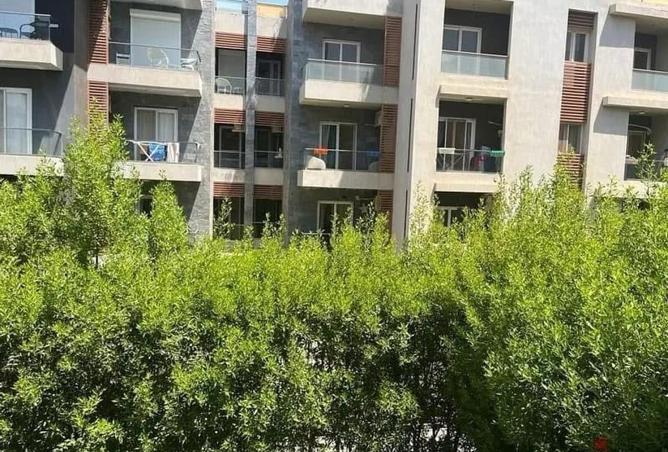 8644035 - Property Image 3