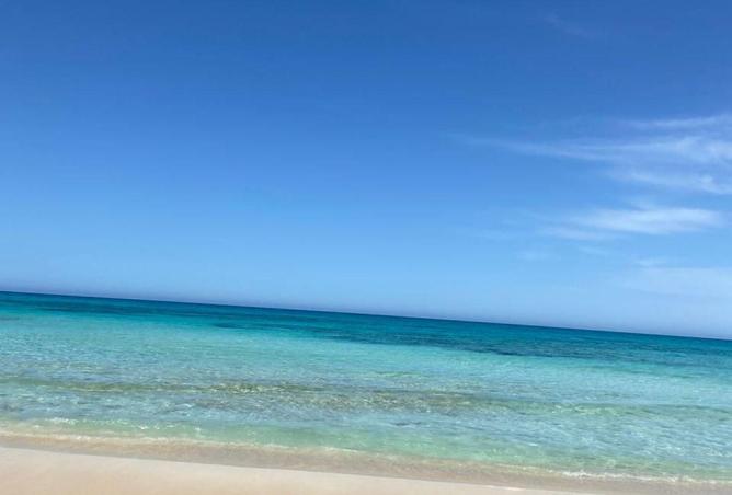 65156856 - صورة العقار 3