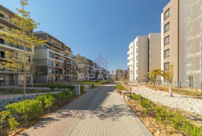 52975045 - Property Image 3