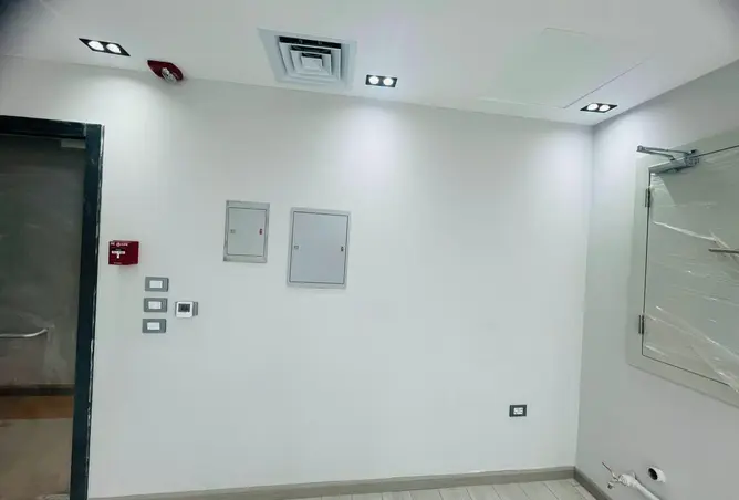 117272925 - Property Image 2