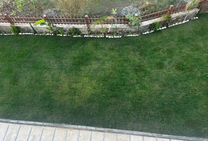 64389224 - Property Image 2