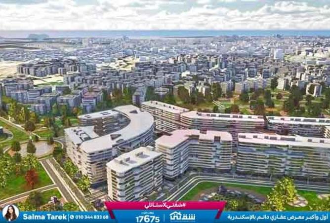 8557455 - Property Image 2