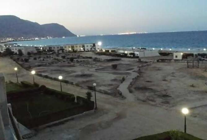 81049365 - صورة العقار 3