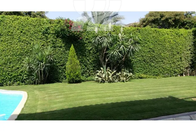 74431428 - Property Image 3