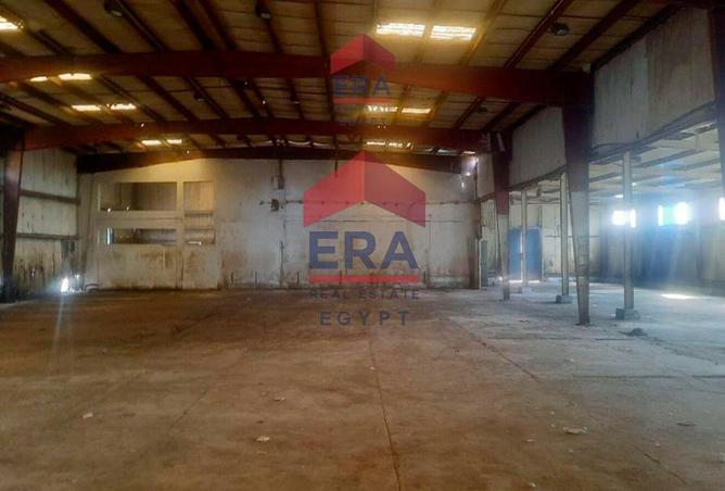 55499197 - الصورة الرئيسية للعقار