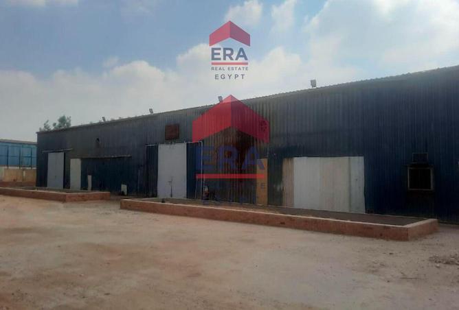 55499197 - صورة العقار 3