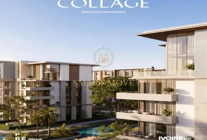 117538308 - Property Image 2