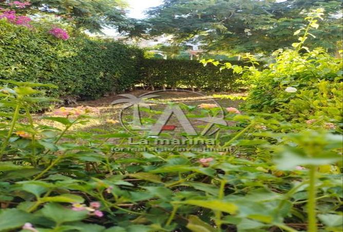 66969561 - صورة العقار 2