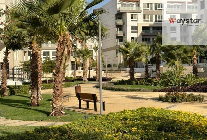 99391646 - صورة العقار 2