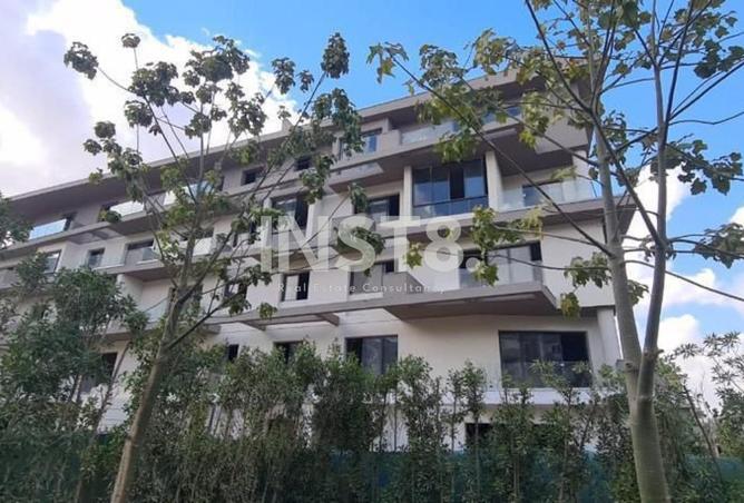 8595445 - Property Image 2